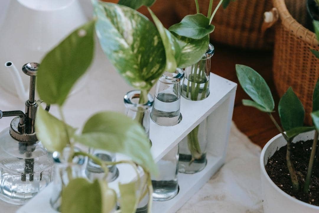 Pexels.com/Teona Swift