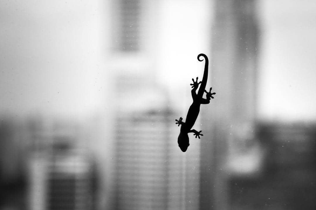 Unsplash.com/Nick Tsinonis