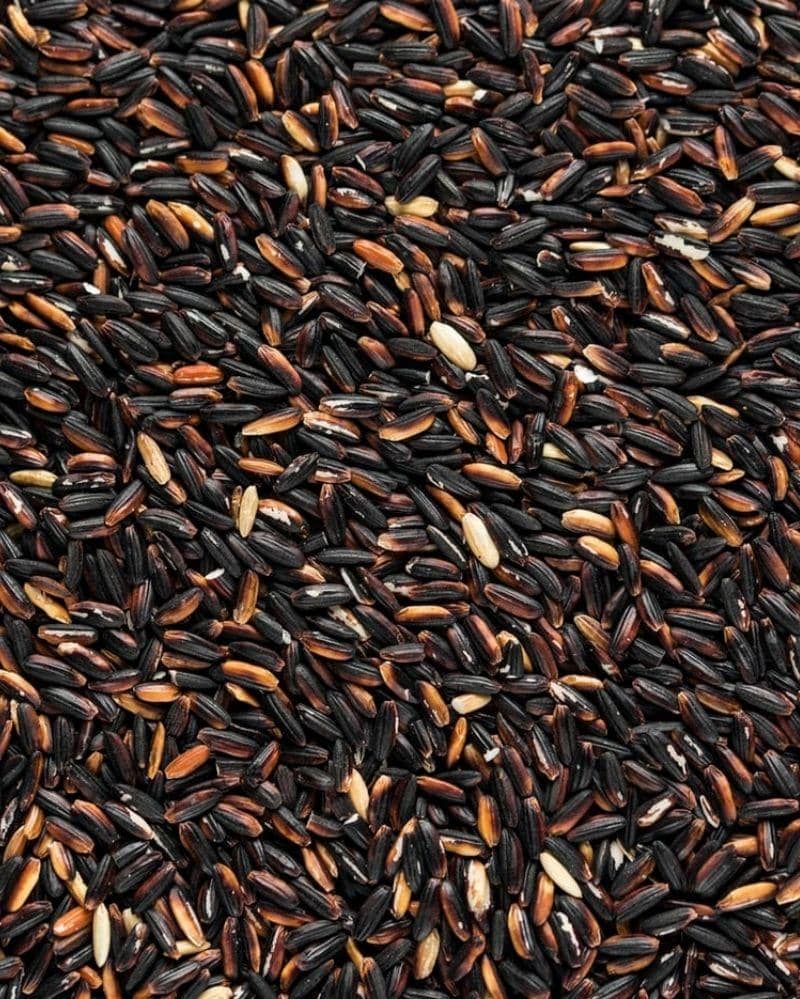 Unsplash.com/Joanna Kosinska