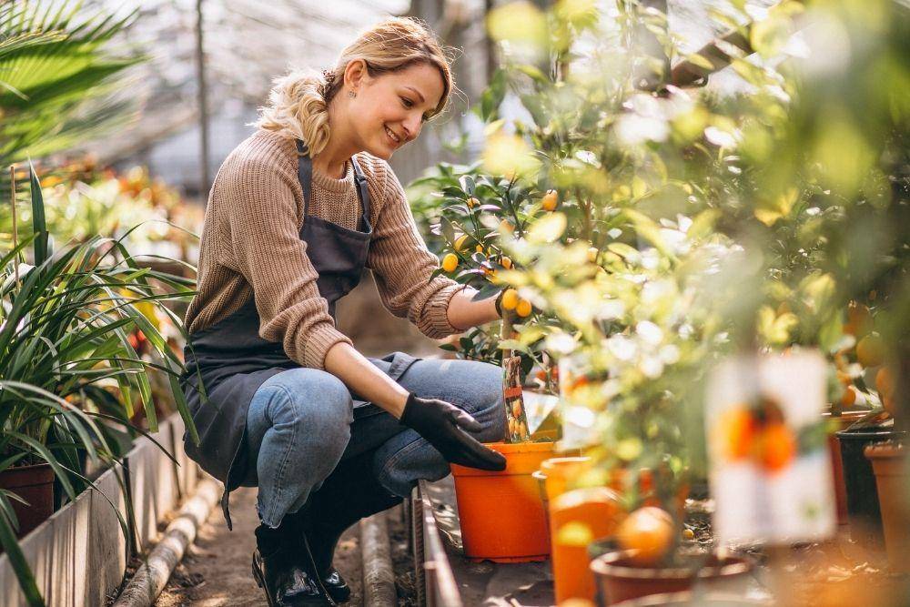 10 Tips Membuat Taman di Rumah Bagi Pemula