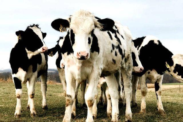 Unsplash.com/Alaina McLearnon