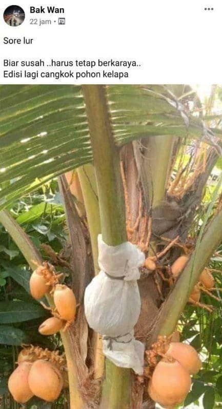 Facebook.com/Bak Wan