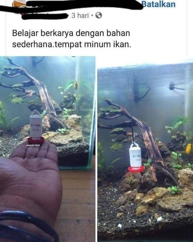 Instagram.com/kebebasanrakyat