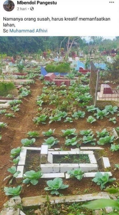 Facebook.com/Mbendol Pangestu