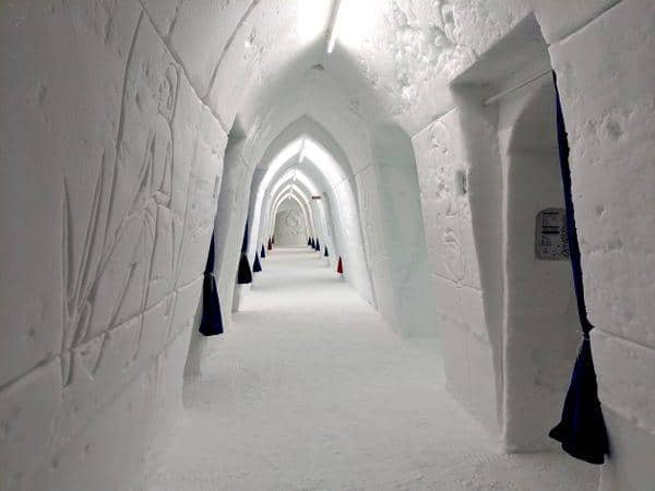 insider.com/Sophie-Claire Hoeller