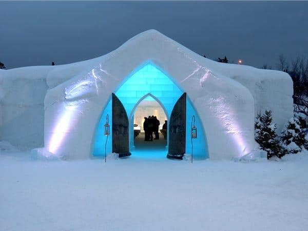 insider.com/Sophie-Claire Hoeller