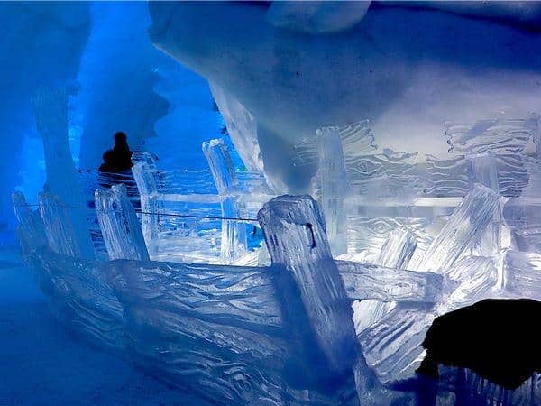 insider.com/Sophie-Claire Hoeller