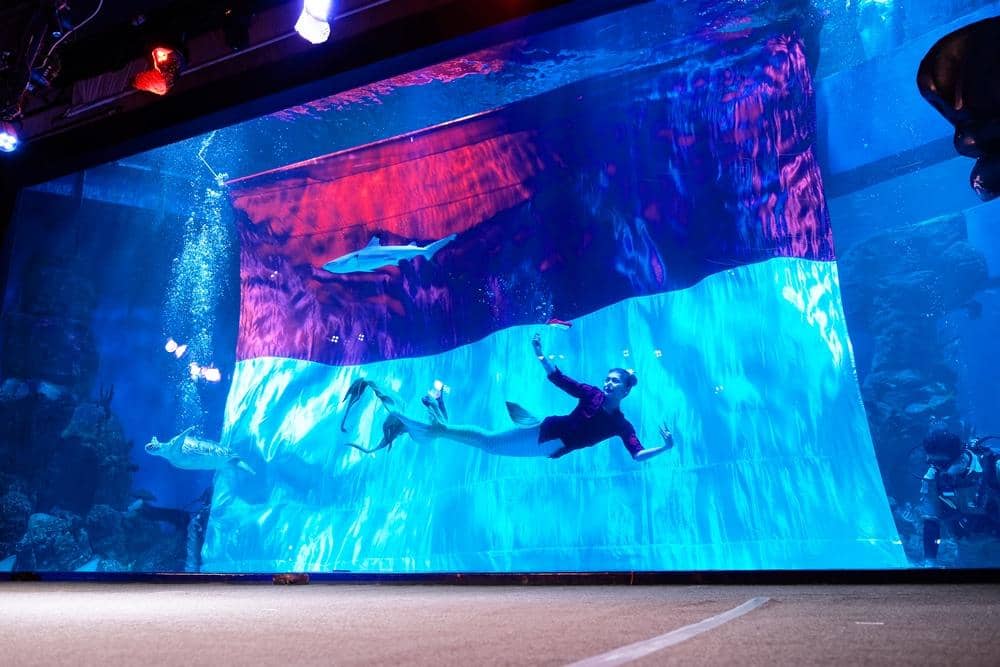 Dok. Jakarta Aquarium