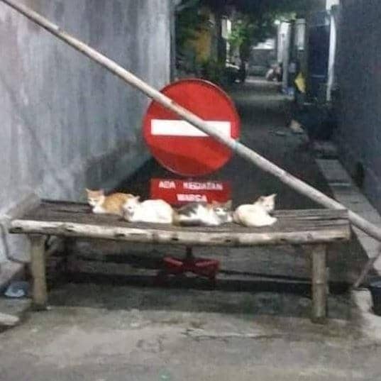 Instagram.com/masabodohah