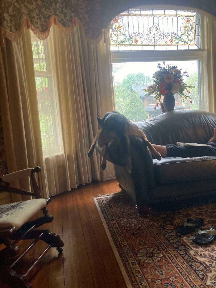 reddit.com/Jarv_Turkey