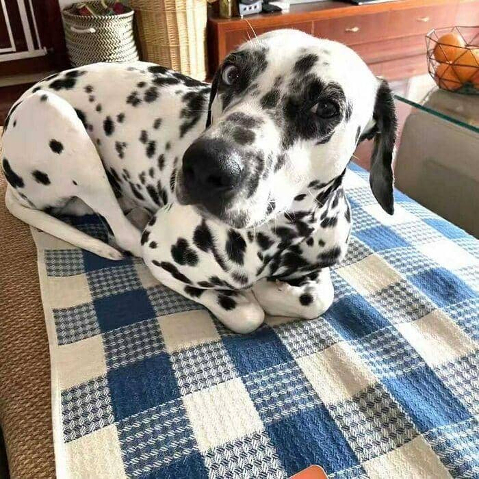 reddit.com/Sharonxls