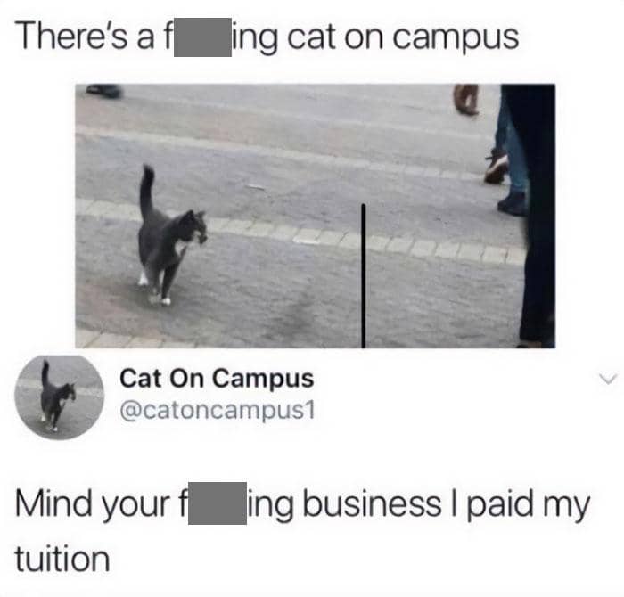 reddit.com/solo_or_sale