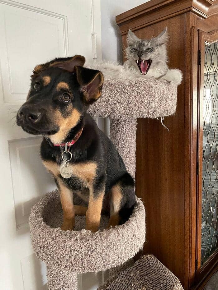 reddit.com/SymanthaB