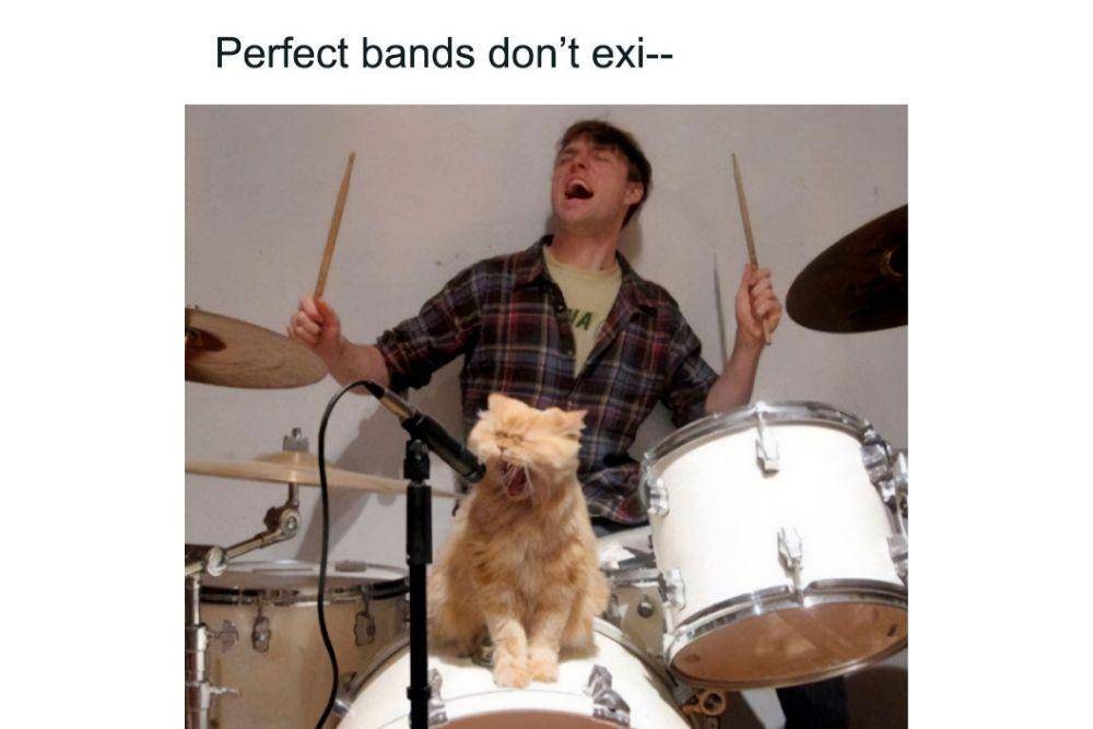 13 Kelakuan Kucing Dijamin Bikin Ngakak Sampai Nangis, Pas Buat Meme!