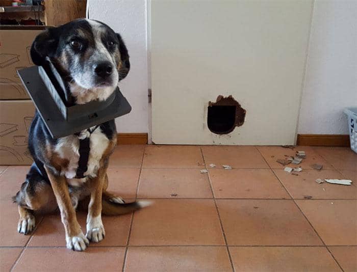 reddit.com/xXMaGGoXx