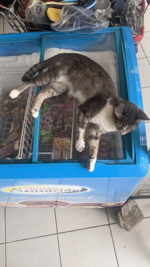 twitter.com/acmilan_eb