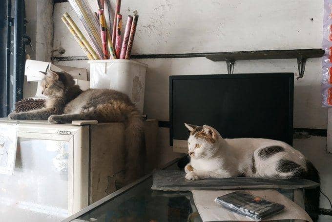 twitter.com/DanangP22627560