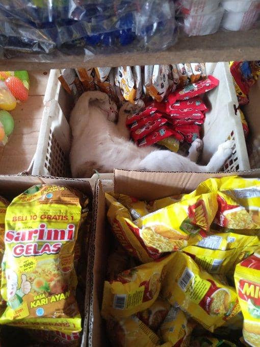 twitter.com/mileakawe