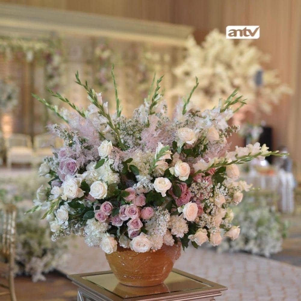 Instagram.com/antv_official