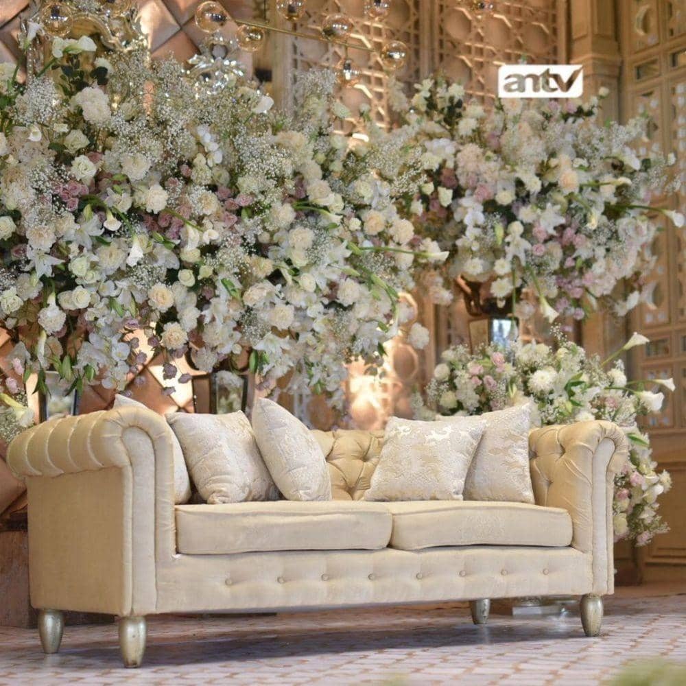 Instagram.com/antv_official