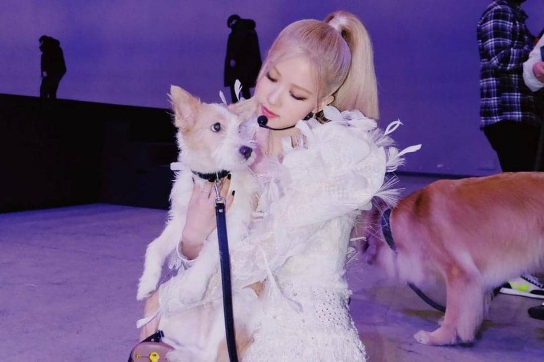 instagram.com/roses_are_rosie