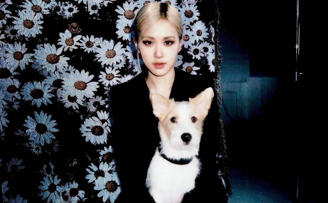 instagram.com/record211