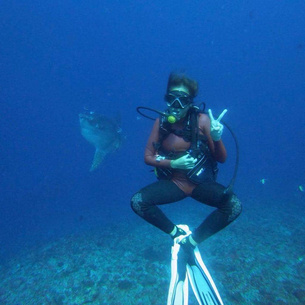 instagram.com/inijedar