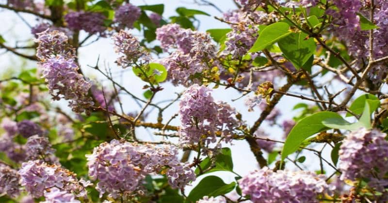 Freepik.com/wirestock