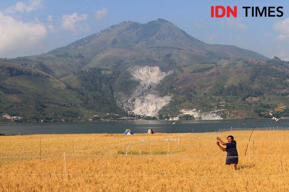 IDNTimes.com/Arifin Al Alamudi