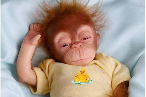 Travelfoodfashion.com