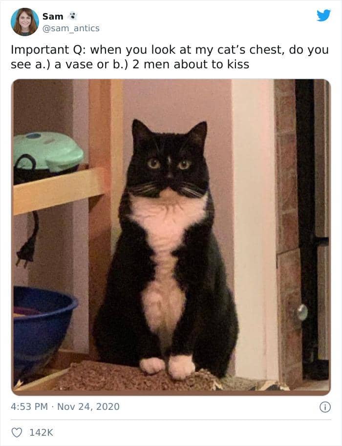 twitter.com/sam_antics