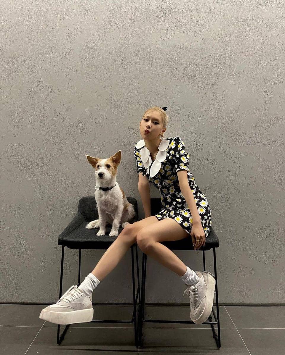 instagram.com/roses_are_rosie