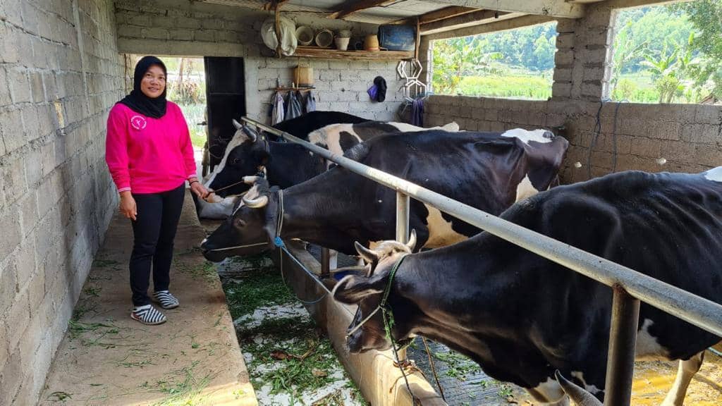 Dok. FrieslandCampina