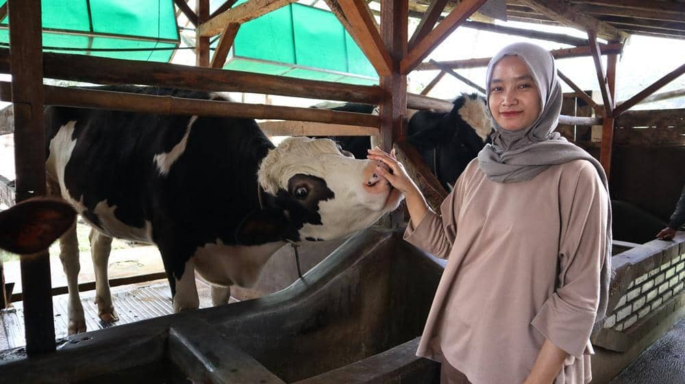 Dok. FrieslandCampina