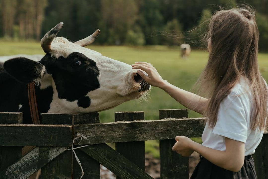 Pexels.com/Cottonbro