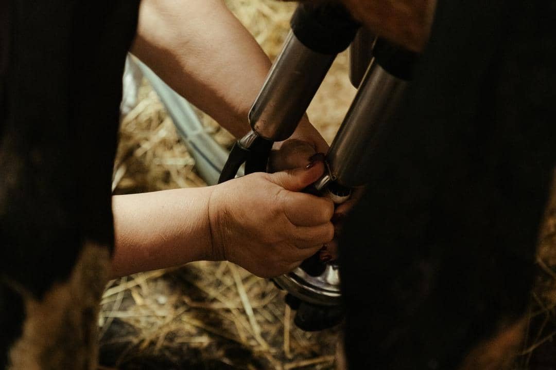 Pexels.com/Cottonbro