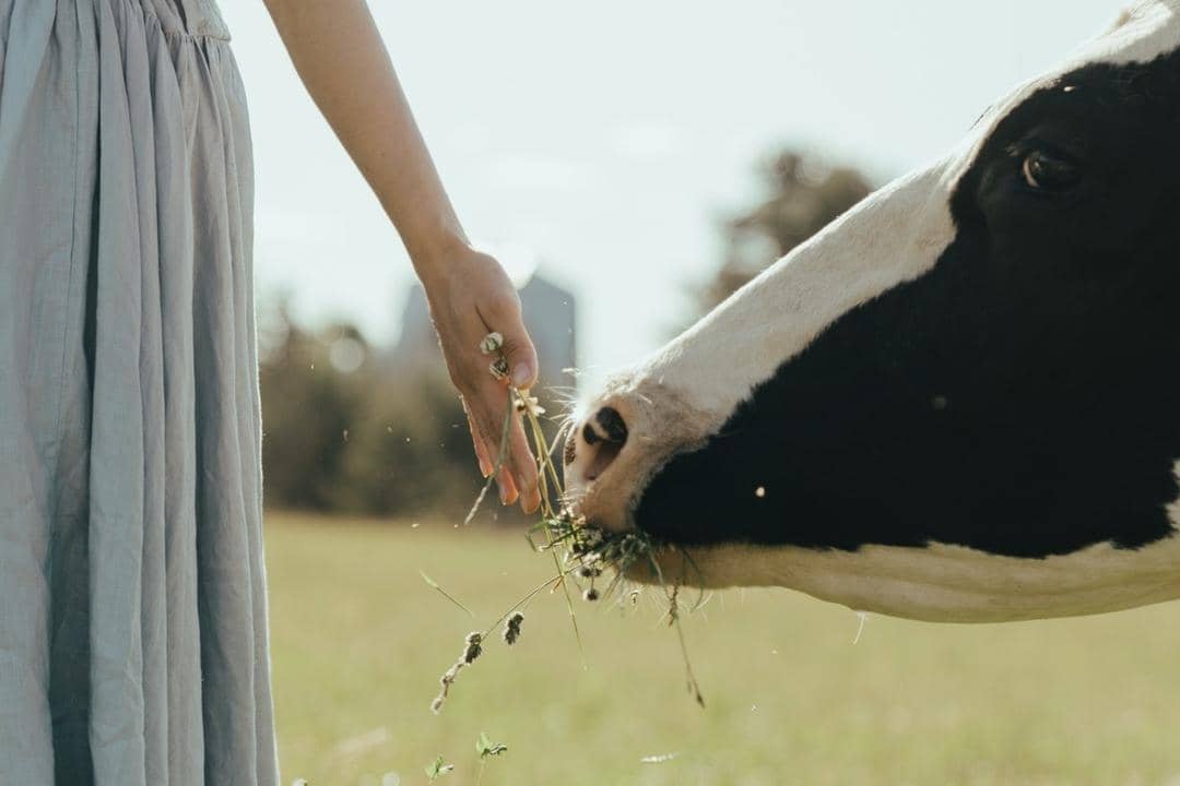 Pexels.com/Cottonbro