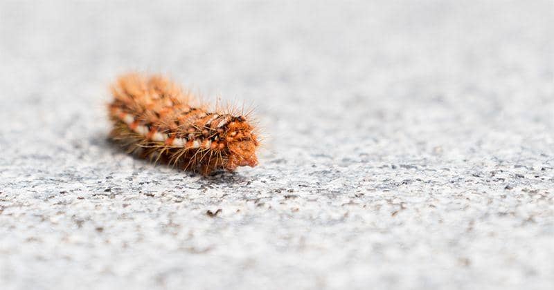 Unsplash.com/Tobias Verstappen