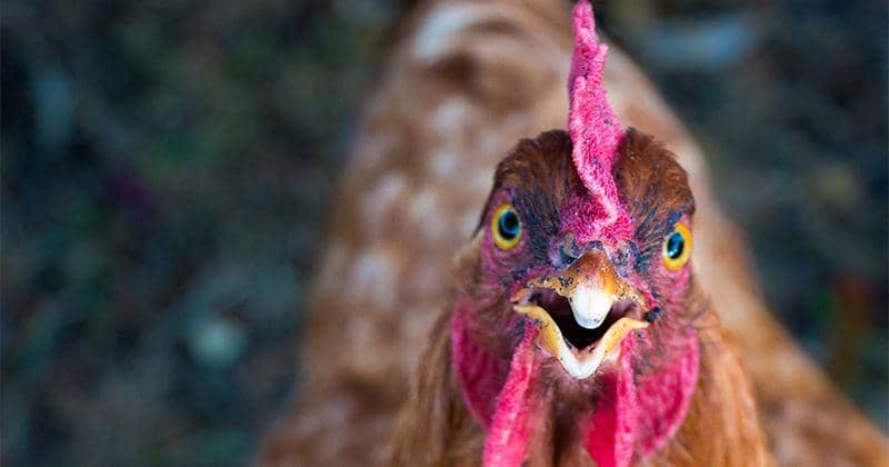 Unsplash.com/Mai Moeslund