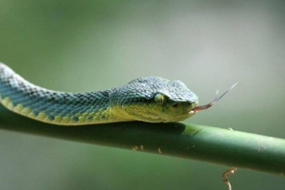 Unsplash/ravipatelravipatel