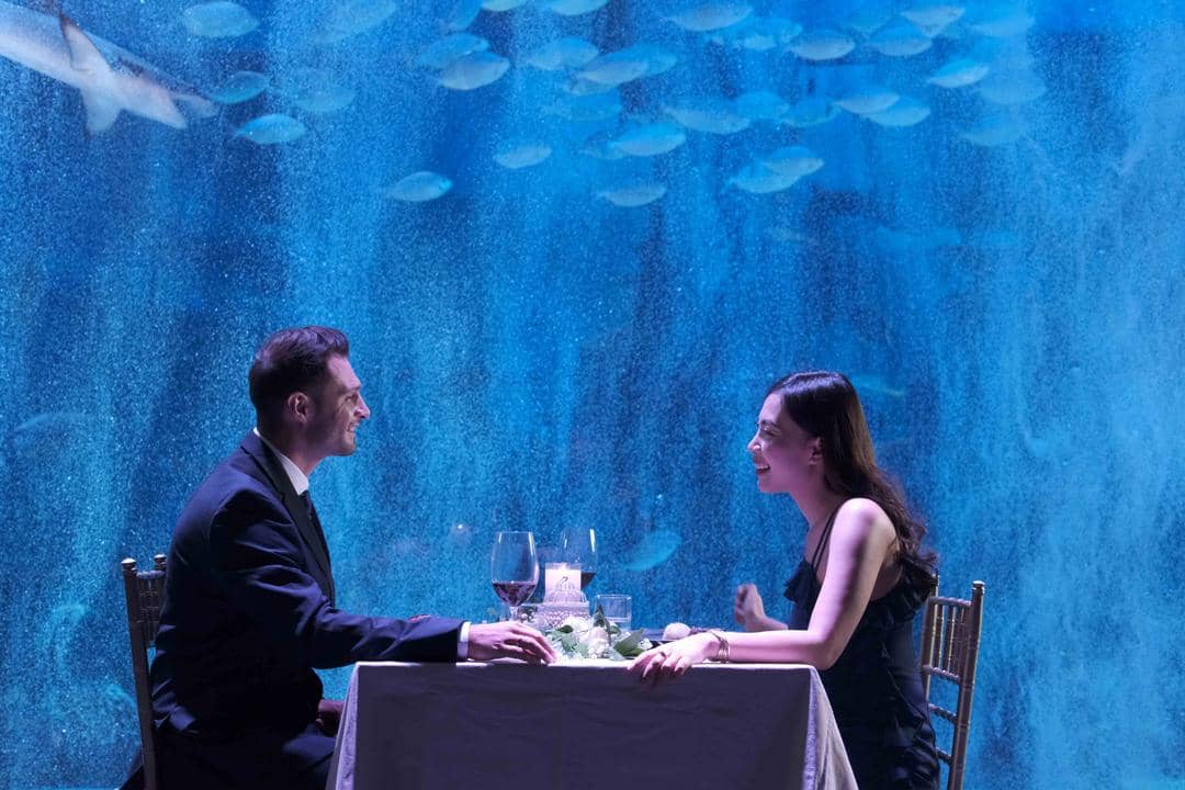 dok. Jakarta Aquarium & Safari