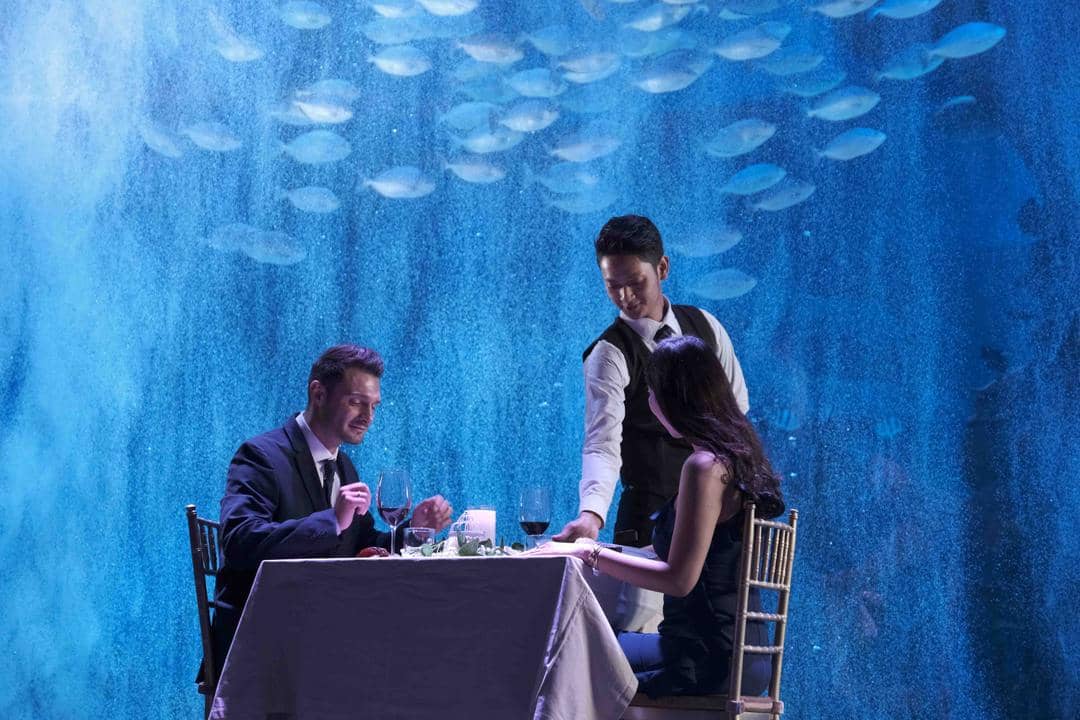 dok. Jakarta Aquarium & Safari