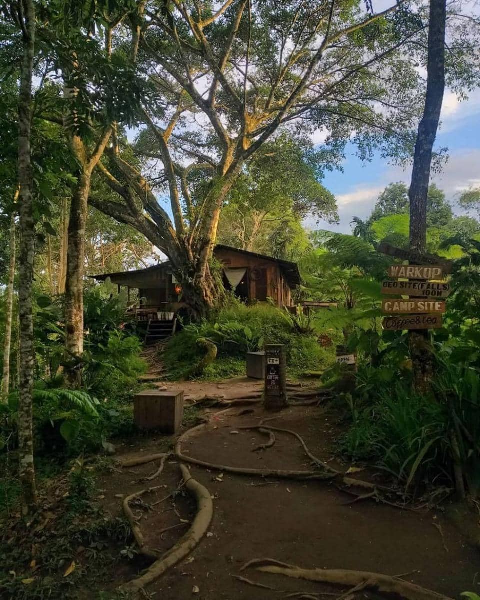 Taman Eden 100 (instagram.com/manurungleo)
