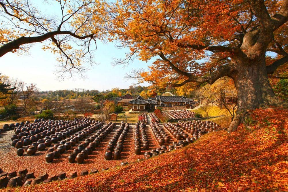 Twitter.com/koreantravel