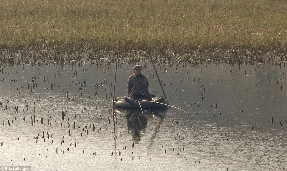 Buzznicked.com/Eric Lafforgue