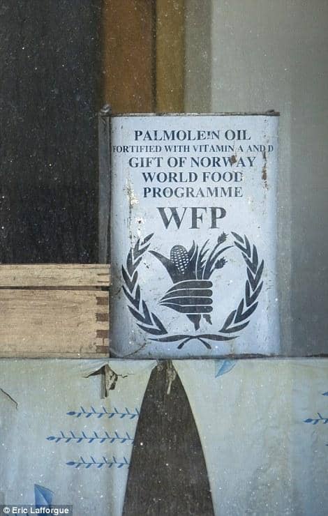 Ayol hayotida jinsiy aloqaning orni