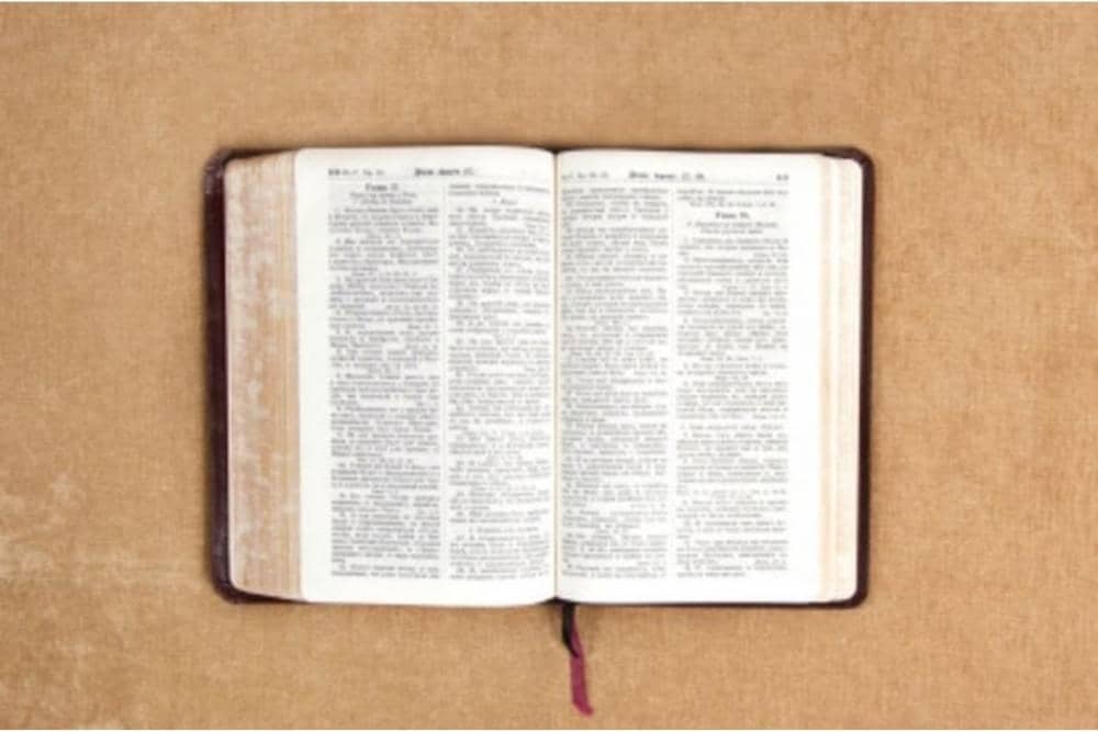 nationalgeographic.grid.id