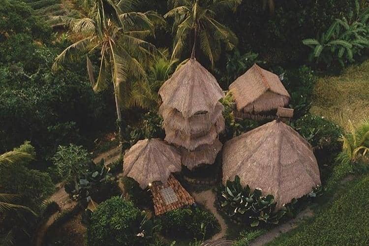 instagram.com/ dromanji