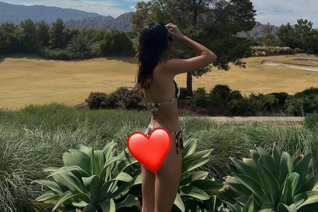 instagram.com/kendalljenner