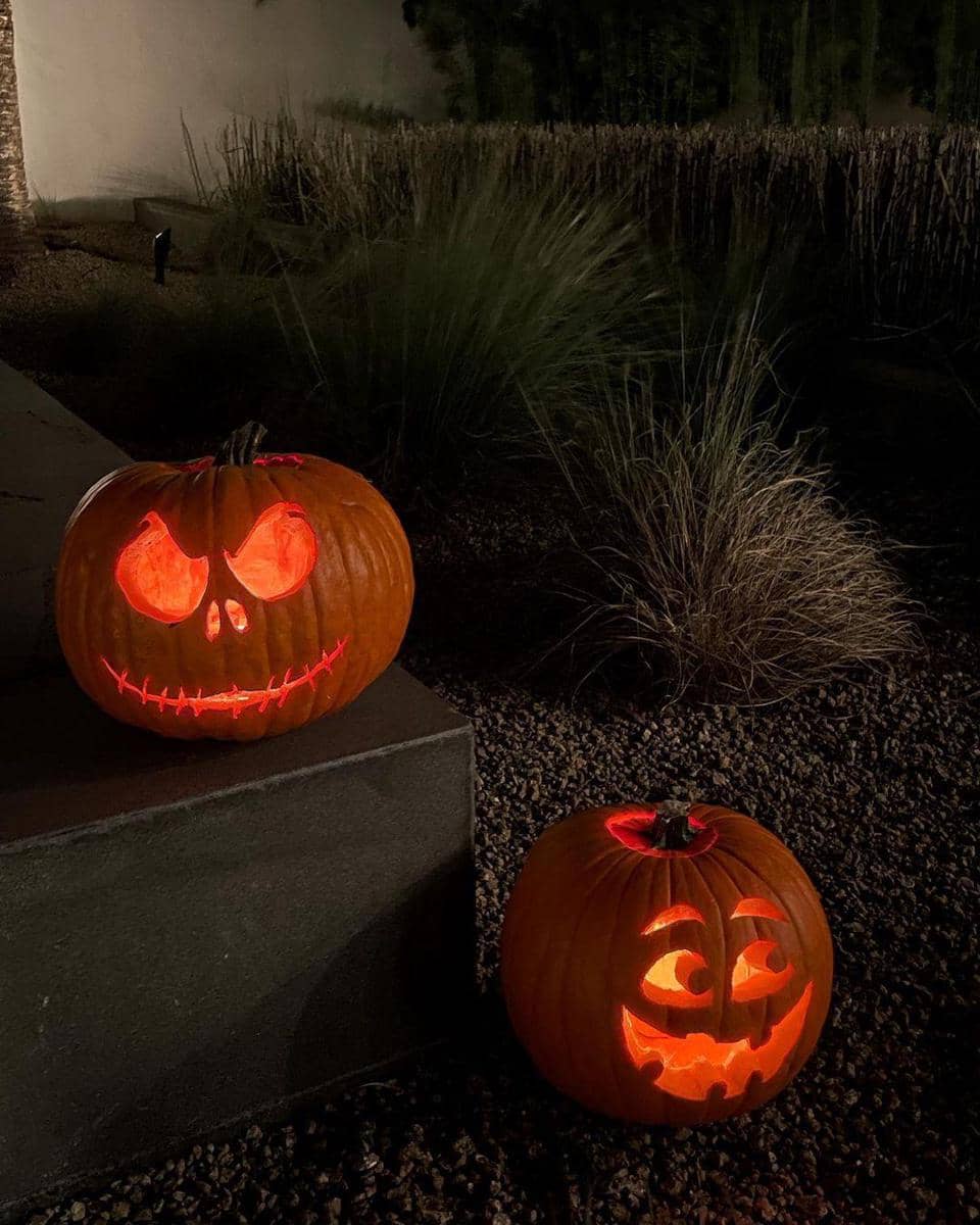 instagram.com/kendalljenner